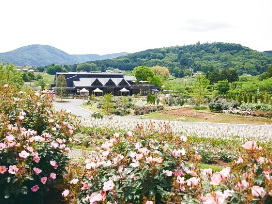 いばらきフラワーパーク 前売り入場チケット