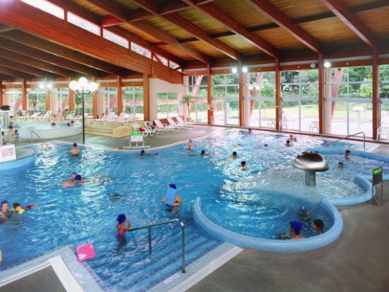 道の駅うつのみや ろまんちっく村 アグリスパ 前売り入場チケット