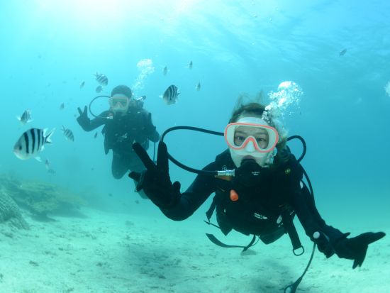 オーダーメイドで世界に1つしかない沖縄旅行を満喫 貸切キャンピングカーで巡る自分だけの沖縄自然体験ツアー＜1日／ランチ付／沖縄本島＞