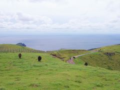 pixta_59808768_M