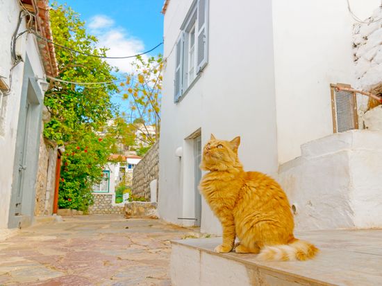 Greece_Hydra_Island_shutterstock_255462160