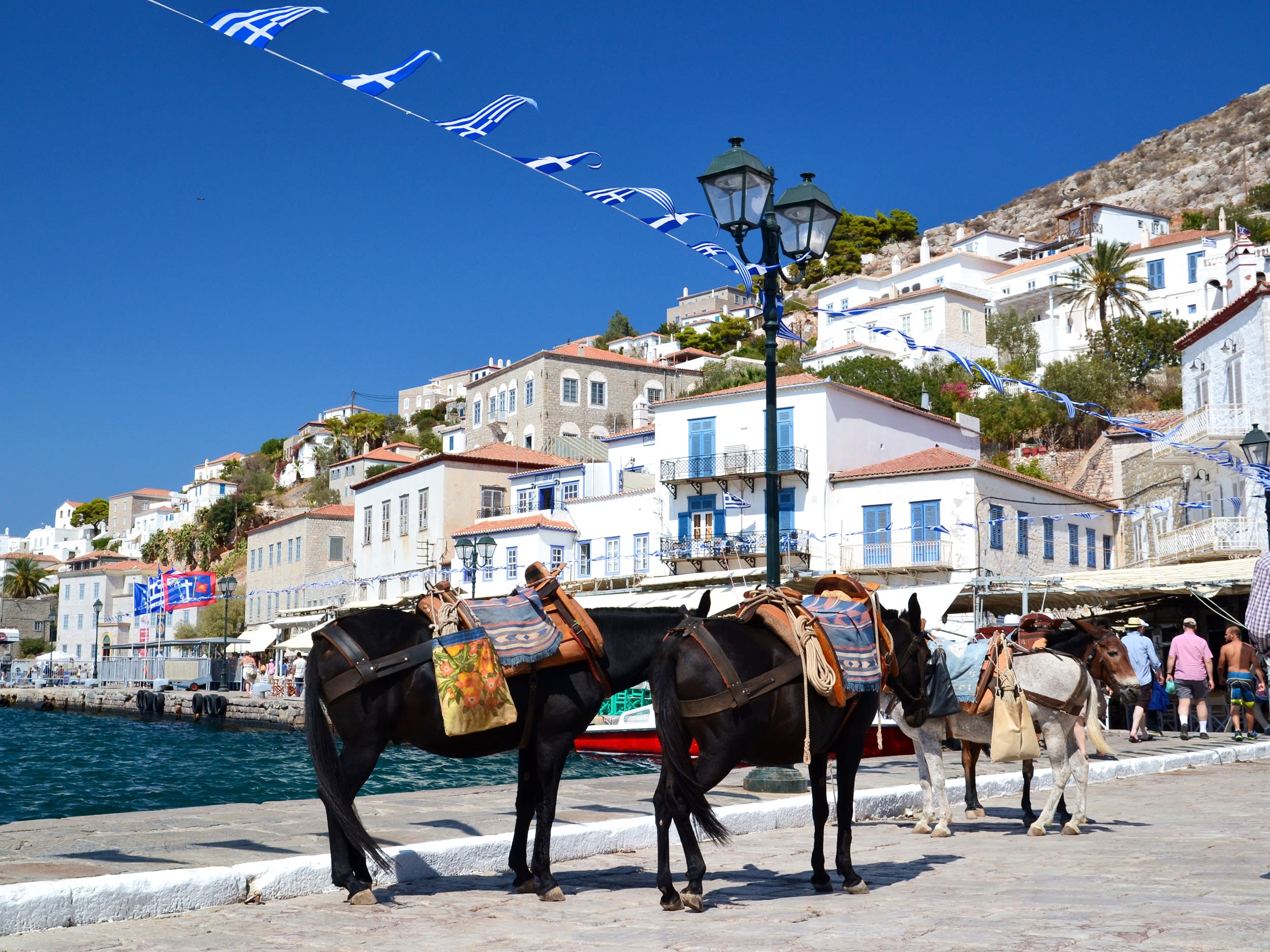 エーゲ海 | ギリシャ 旅行の観光・オプショナルツアー予約 VELTRA（ベルトラ）