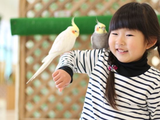 Moff animal world BIGHOPガーデンモール印西店 前売り入場チケット