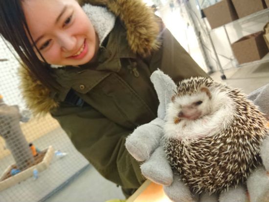 Moff アニマル カフェ イーアス 高尾店 前売り入場チケット