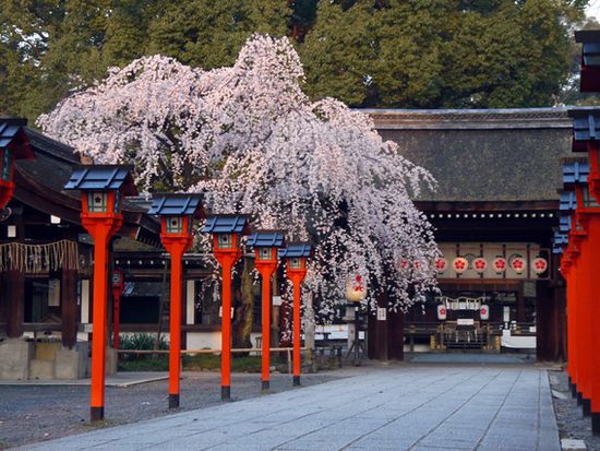 74EFDABE-C441-4AD4-876E-71CA8B20CAEB