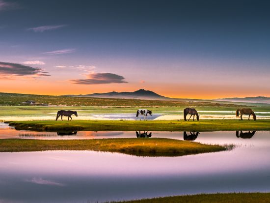 【2泊3日・5～10月限定】カラコルムを満喫！専用車でご案内するブルド＆世界遺産カラコルム遺跡＜食事付き／日本語ガイド／ゲル泊／ウランバートル発＞