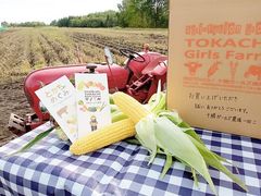 ゴールドラッシュ発送箱写真