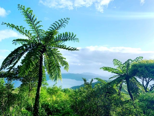 奄美群島公認ガイド tomoさんと行く奄美南部ショートツアー 高地山展望