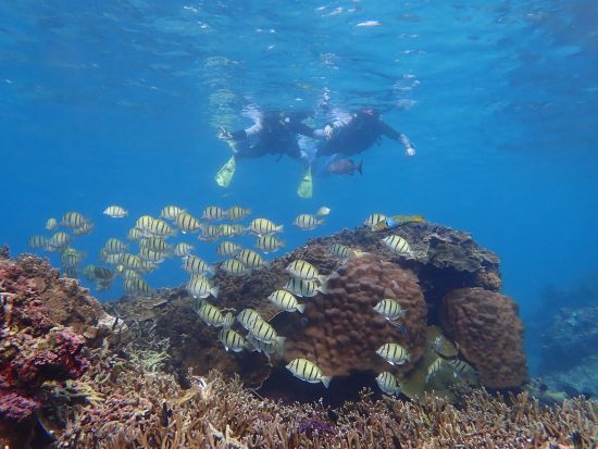 マリンスポーツ　バナナボート＋ビックマーブル！お好みでバンドワゴン・シュノーケルプランも選択可能！＜3月～10月／選べるプラン／写真撮影込＞