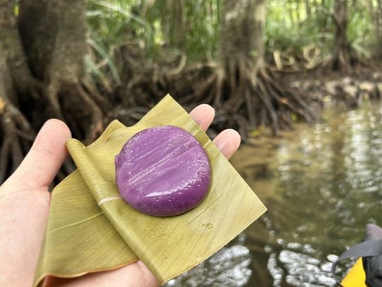 マングローブカヌー＋ピナイサーラの滝トレッキングツアー　半日で沖縄県最大の滝を満喫！＜上原港または西部地区ホテル無料送迎／西表島＞