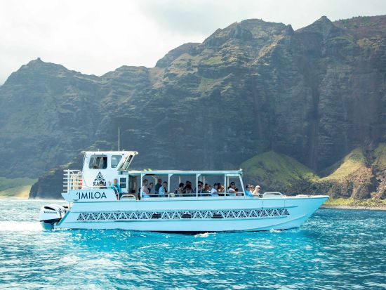 ホエールウォッチングクルーズ　イミロア号 ＜12～3月／午前・午後／ドリンク飲み放題付き／英語ガイド／カウアイ島＞