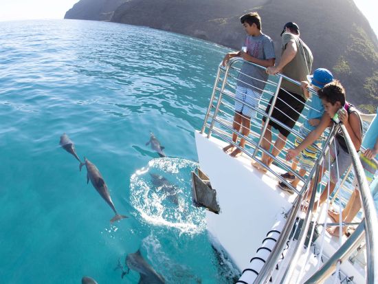 ナ・パリ・コースト　クルージング＆シュノーケリングツアー　ラッキーレディ号＜5時間／朝食・昼食付き／英語ガイド＞