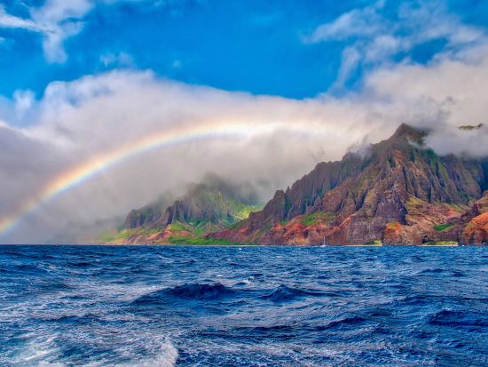 ホエールウォッチングクルーズ　イミロア号 ＜12～3月／午前・午後／ドリンク飲み放題付き／英語ガイド／カウアイ島＞