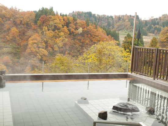 ナステビュウ湯の山 前売り入場チケット