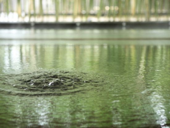 アクアイグニス片岡温泉 前売り入場チケット