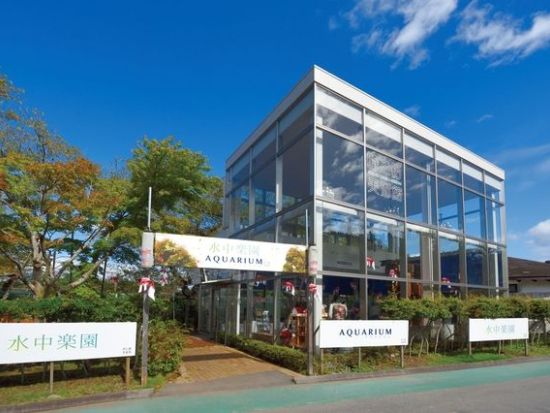 水中楽園アクアリウム 前売り入場チケット