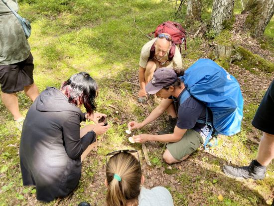 国立公園ハイキング＆クーシヤルヴィサウナ体験ツアー 森と湖とサウナでリフレッシュ＜森でのBBQ昼食付／英語ガイド／ヘルシンキ発＞