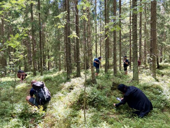 国立公園ハイキング＆クーシヤルヴィサウナ体験ツアー 森と湖とサウナでリフレッシュ＜森でのBBQ昼食付／英語ガイド／ヘルシンキ発＞
