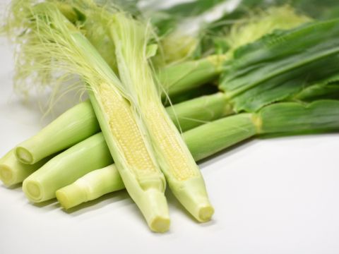 ヤングコーン収穫&トラクター乗車体験 フレッシュな野菜たっぷりランチ付きプランもご用意♪＜7月中旬～8月／帯広＞by 十勝ガールズ農場