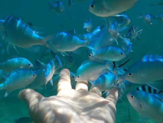 シュノーケルポイントまでバナナボートでライディング！万座毛を海から楽しめるシュノーケルツアー＜3歳～／グリーンフィンズ認定店／恩納村＞