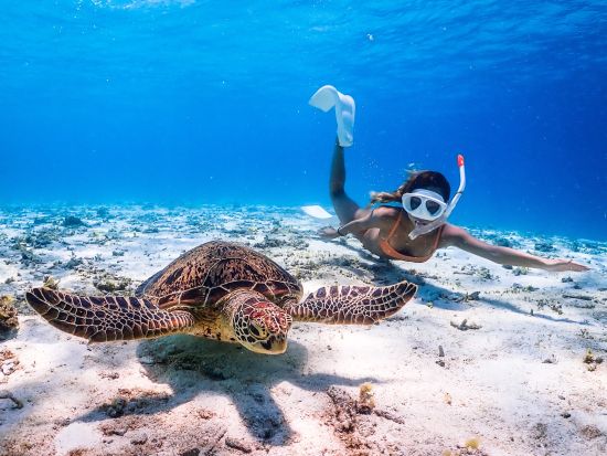 【宮古島／ウミガメシュノーケル】★絶賛セール中★ 口コミ高評価！安心の少人数制！プロガイドがしっかりサポート！《遭遇率99％／写真データ無料》