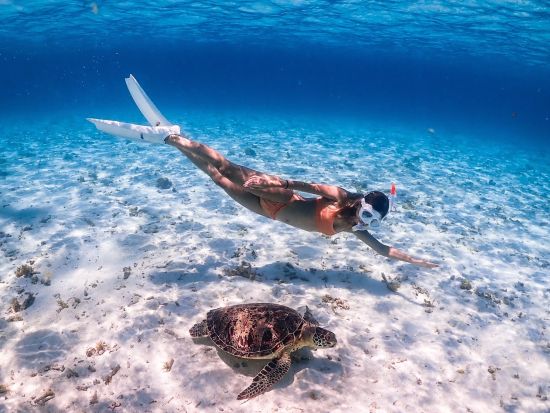 【宮古島／ウミガメシュノーケル】★絶賛セール中★ 口コミ高評価！安心の少人数制！プロガイドがしっかりサポート！《遭遇率99％／写真データ無料》