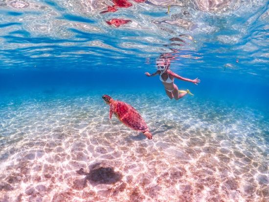 【宮古島／ウミガメシュノーケル】★絶賛セール中★ 口コミ高評価！安心の少人数制！プロガイドがしっかりサポート！《遭遇率99％／写真データ無料》