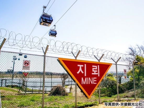 南北境界線（DMZ）ツアー　臨津閣ゴンドラ搭乗＆自由の橋＆オドゥ山統一展望台 明洞餃子やアフタヌーンティー選択可＜火・水・金・日／DMZ地域特化日本語ガイド＞