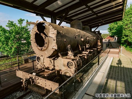 南北境界線（DMZ）ツアー　臨津閣ゴンドラ搭乗＆自由の橋＆オドゥ山統一展望台 明洞餃子やアフタヌーンティー選択可＜火・水・金・日／DMZ地域特化日本語ガイド＞