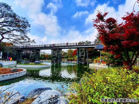 南北境界線（DMZ）ツアー　臨津閣ゴンドラ搭乗＆自由の橋＆オドゥ山統一展望台 明洞餃子やアフタヌーンティー選択可＜火・水・金・日／DMZ地域特化日本語ガイド＞