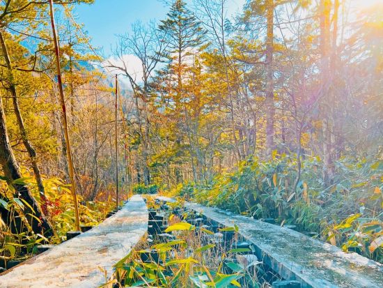 名古屋発日帰りバスツアー 上高地で自由散策最大3.5時間　＜4～11月／1日／名古屋発着＞