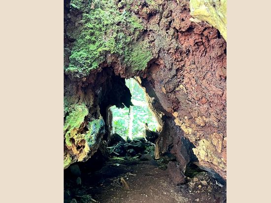 76DF919B-0488-48EA-BCC0-A0C4340A8EA6