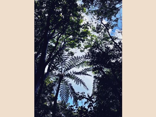 1D7470A0-8035-4E81-A6F2-1405A104C9D2