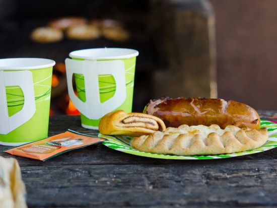 【春夏限定】フィンランドの森散策ツアー 深緑の爽やかな森を探検！＜5～9月／日本語／昼食付／ヘルシンキ発＞