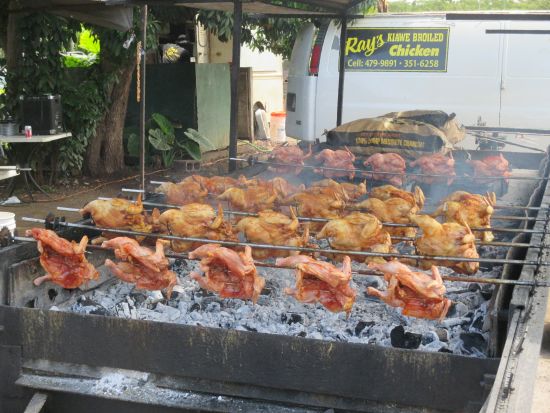 ノースショア（ハレイワ）観光往復シャトルサービス　ハレイワで約4時間たっぷり自由行動を楽しめる！＜1日／シェラトン ワイキキホテル発＞