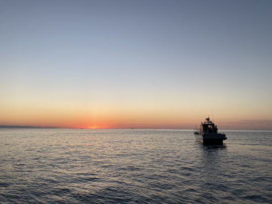 隠岐・知夫里島 赤壁遊覧船 断崖絶壁の「赤壁」を海から間近に眺める！＜貸切／ガイド選択可／約50分／来居港発着＞