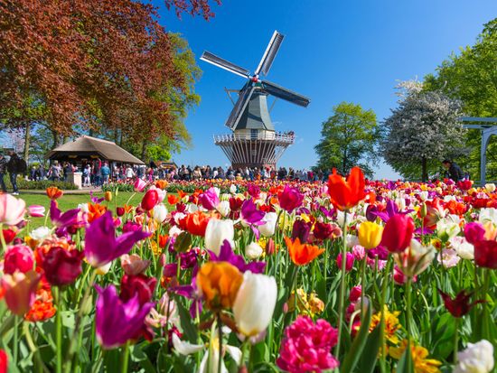 Netherlands_Keukenhof_tulips_spring_shutterstock_1111810853