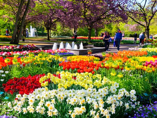 netherlands_lisse_keukenhof_shutterstock_428218516