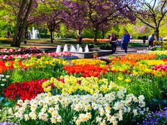 netherlands_lisse_keukenhof_shutterstock_428218516