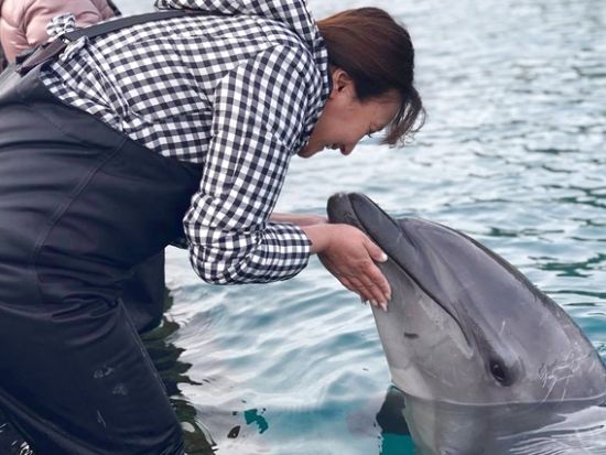 壱岐イルカパーク&リゾート 前売り入場チケット