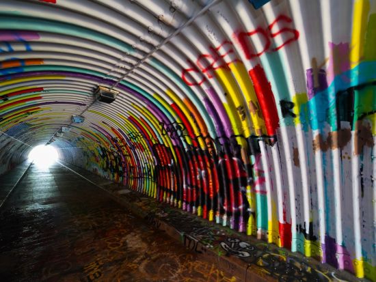 ハワイ　カジュアルフォトツアー　島内観光を楽しみながら、厳選スポットでプロカメラマンが撮影！＜午前・午後／2～5名／貸切チャーター＞