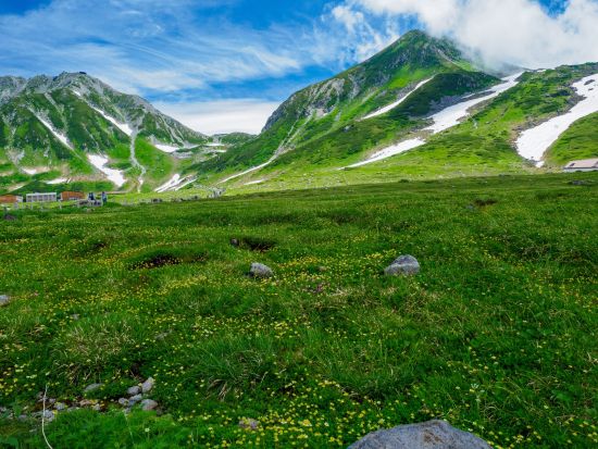 まだ間に合う！金沢発着 立山黒部アルペンルート　雪の大谷日帰りバスツアー ますのすしミュージアムでの工場見学付き【2026】＜4～6月／1日＞