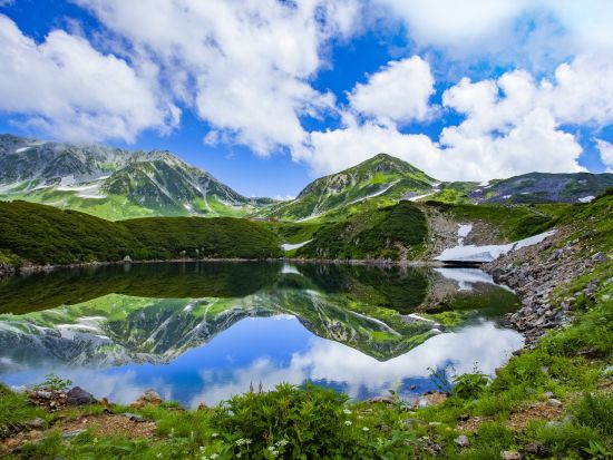まだ間に合う！金沢発着 立山黒部アルペンルート　雪の大谷日帰りバスツアー ますのすしミュージアムでの工場見学付き【2026】＜4～6月／1日＞