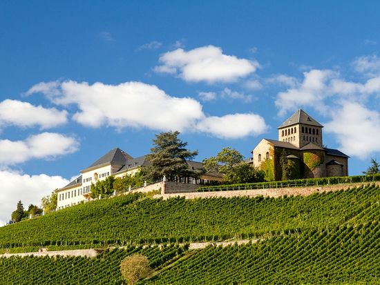 繝医ャ繝輔ｚ繝倥ｚ繝ｼ繧ｷ繧吝・逵歃竭､