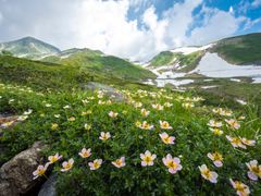 pixta_80931988_M