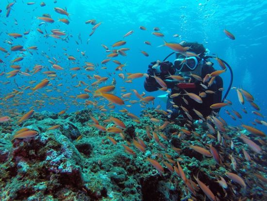 ボートファンダイビング  地形専門ガイドが案内する宮古島のダイナミックな地形と沖縄の透明度バツグンの海を体感！＜3ダイブ／ランチ付／宮古島＞