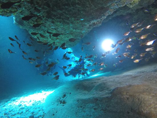 ボートファンダイビング  地形専門ガイドが案内する宮古島のダイナミックな地形と沖縄の透明度バツグンの海を体感！＜3ダイブ／ランチ付／宮古島＞