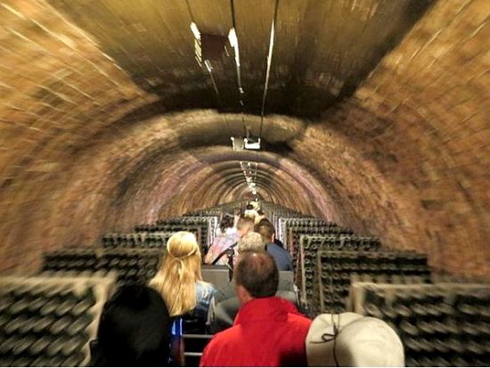 カヴァ発祥の老舗名門ワイナリー「コドルニウ」見学ツアー　試飲付き！世界最大級の地下貯蔵庫も見学＜混載／少人数制／午後／日本語／バルセロナ発＞