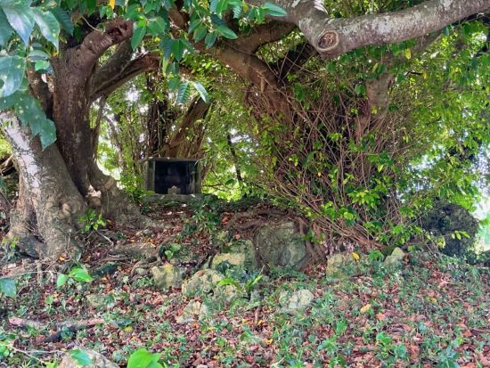 コザまちまーい　ウートートー 祈りの古集落古謝（こじゃ）で沖縄特有の祈りの文化を知ろう＜古謝地区／沖縄市＞