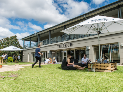 ハンターバレー 1895年創業の老舗ワイナリー「タラック・ワイン（Tulloch winery）」で銘柄当てに挑戦！ミステリーワインテイスティング